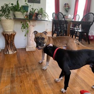 Meet your Posher, Lynnette